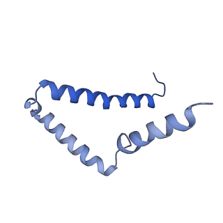 11149_6zbb_g_v1-2
bovine ATP synthase Fo domain