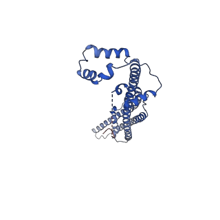11150_6zbc_C_v1-1
Merozoite surface protein 1 (MSP-1) from Plasmodium falciparum, main conformation