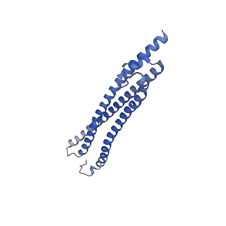 11150_6zbc_D_v1-1
Merozoite surface protein 1 (MSP-1) from Plasmodium falciparum, main conformation