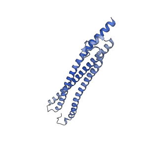 11152_6zbe_D_v1-1
Merozoite surface protein 1 (MSP-1) from Plasmodium falciparum, alternative conformation 1