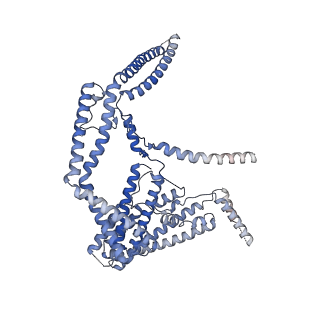 11153_6zbf_A_v1-1
Merozoite surface protein 1 (MSP-1) from Plasmodium falciparum, alternative conformation 3