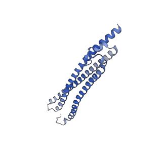 11154_6zbg_D_v1-1
Merozoite surface protein 1 (MSP-1) from Plasmodium falciparum, alternative conformation 4