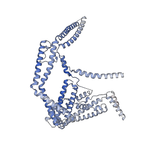 11155_6zbh_A_v1-1
Merozoite surface protein 1 (MSP-1) from Plasmodium falciparum, alternative conformation 5