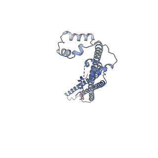 11155_6zbh_C_v1-1
Merozoite surface protein 1 (MSP-1) from Plasmodium falciparum, alternative conformation 5