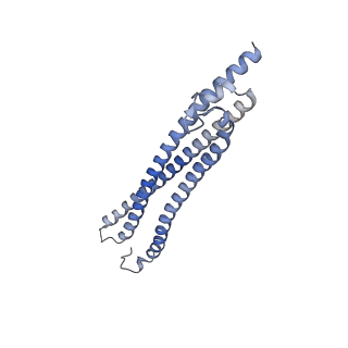 11155_6zbh_D_v1-1
Merozoite surface protein 1 (MSP-1) from Plasmodium falciparum, alternative conformation 5