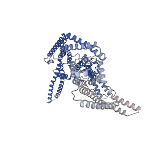11156_6zbj_A_v1-1
Plasmodium falciparum merozoite surface protein 1 dimer, conformation 1