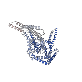 11156_6zbj_C_v1-1
Plasmodium falciparum merozoite surface protein 1 dimer, conformation 1