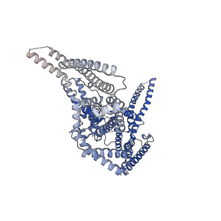 11157_6zbl_A_v1-1
Plasmodium falciparum merozoite surface protein 1 dimer, conformation 2