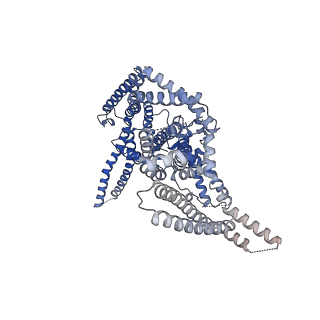 11157_6zbl_C_v1-1
Plasmodium falciparum merozoite surface protein 1 dimer, conformation 2