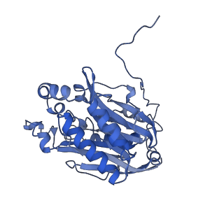 11158_6zby_A_v1-0
Cryo-EM structure of the nitrilase from Pseudomonas fluorescens EBC191 at 3.3 Angstroms