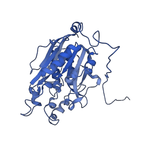 11158_6zby_B_v1-0
Cryo-EM structure of the nitrilase from Pseudomonas fluorescens EBC191 at 3.3 Angstroms