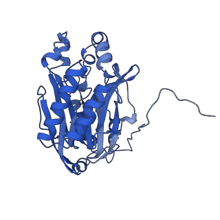 11158_6zby_C_v1-0
Cryo-EM structure of the nitrilase from Pseudomonas fluorescens EBC191 at 3.3 Angstroms