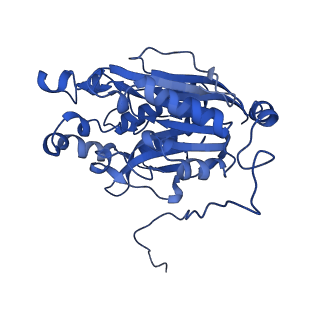 11158_6zby_D_v1-0
Cryo-EM structure of the nitrilase from Pseudomonas fluorescens EBC191 at 3.3 Angstroms