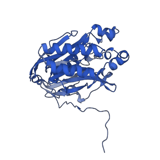 11158_6zby_E_v1-0
Cryo-EM structure of the nitrilase from Pseudomonas fluorescens EBC191 at 3.3 Angstroms