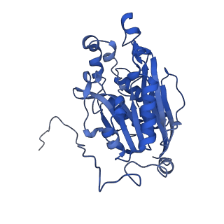 11158_6zby_F_v1-0
Cryo-EM structure of the nitrilase from Pseudomonas fluorescens EBC191 at 3.3 Angstroms