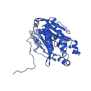 11158_6zby_G_v1-0
Cryo-EM structure of the nitrilase from Pseudomonas fluorescens EBC191 at 3.3 Angstroms