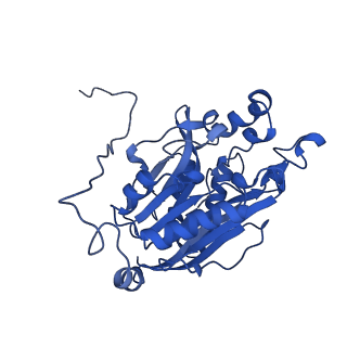 11158_6zby_H_v1-0
Cryo-EM structure of the nitrilase from Pseudomonas fluorescens EBC191 at 3.3 Angstroms