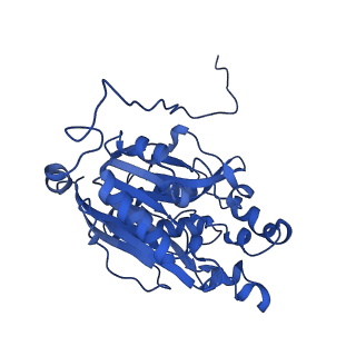11158_6zby_J_v1-0
Cryo-EM structure of the nitrilase from Pseudomonas fluorescens EBC191 at 3.3 Angstroms