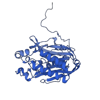 11158_6zby_K_v1-0
Cryo-EM structure of the nitrilase from Pseudomonas fluorescens EBC191 at 3.3 Angstroms