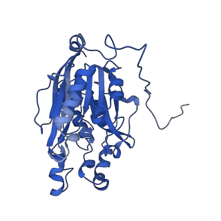 11158_6zby_L_v1-0
Cryo-EM structure of the nitrilase from Pseudomonas fluorescens EBC191 at 3.3 Angstroms