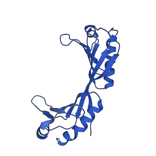 14584_7zb5_D_v1-3
Mot1(1-1836):TBP:DNA - post-hydrolysis complex dimer