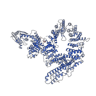 14584_7zb5_E_v1-3
Mot1(1-1836):TBP:DNA - post-hydrolysis complex dimer