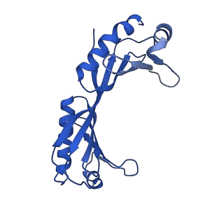 14584_7zb5_G_v1-3
Mot1(1-1836):TBP:DNA - post-hydrolysis complex dimer