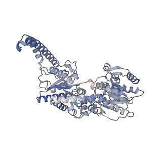 14587_7zbn_A_v1-0
Cryo-EM structure of the human GS-GN complex in the inhibited state
