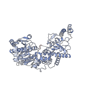 14587_7zbn_B_v1-0
Cryo-EM structure of the human GS-GN complex in the inhibited state