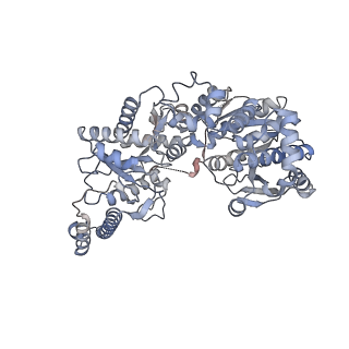 14587_7zbn_C_v1-0
Cryo-EM structure of the human GS-GN complex in the inhibited state