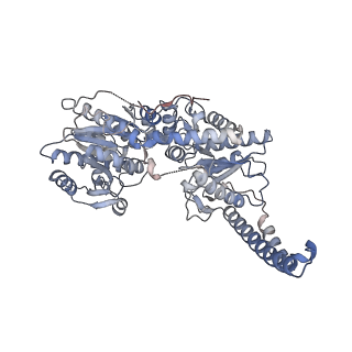 14587_7zbn_D_v1-0
Cryo-EM structure of the human GS-GN complex in the inhibited state