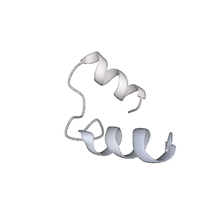 14587_7zbn_E_v1-0
Cryo-EM structure of the human GS-GN complex in the inhibited state