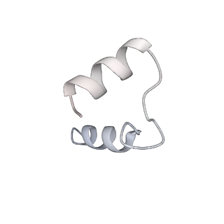 14587_7zbn_F_v1-0
Cryo-EM structure of the human GS-GN complex in the inhibited state