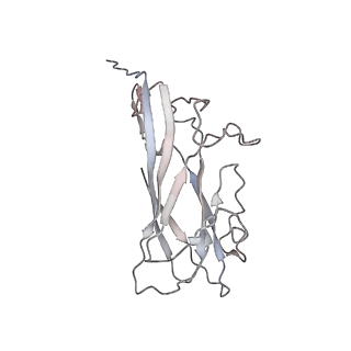 6746_5zbo_1_v1-2
Cryo-EM structure of PCV2 VLPs