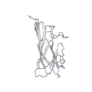 6746_5zbo_1_v1-3
Cryo-EM structure of PCV2 VLPs