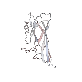 6746_5zbo_2_v1-2
Cryo-EM structure of PCV2 VLPs