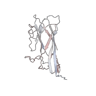 6746_5zbo_2_v1-3
Cryo-EM structure of PCV2 VLPs