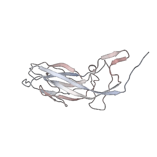 6746_5zbo_4_v1-3
Cryo-EM structure of PCV2 VLPs