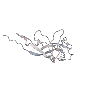 6746_5zbo_5_v1-2
Cryo-EM structure of PCV2 VLPs