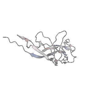 6746_5zbo_5_v1-3
Cryo-EM structure of PCV2 VLPs