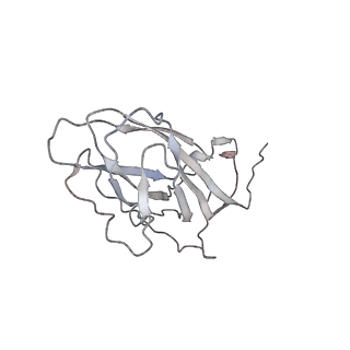 6746_5zbo_6_v1-2
Cryo-EM structure of PCV2 VLPs