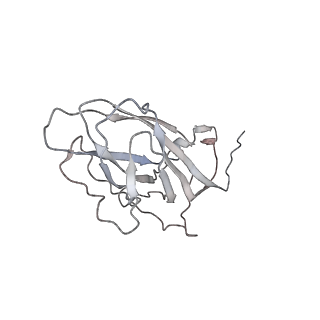 6746_5zbo_6_v1-3
Cryo-EM structure of PCV2 VLPs