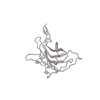 6746_5zbo_7_v1-3
Cryo-EM structure of PCV2 VLPs