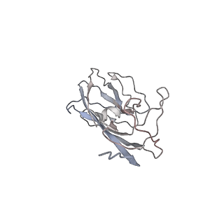 6746_5zbo_8_v1-2
Cryo-EM structure of PCV2 VLPs