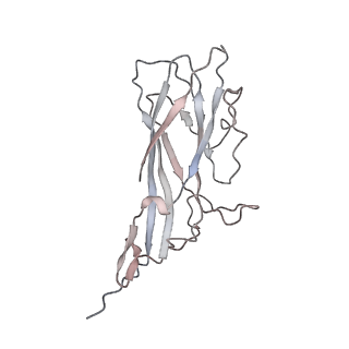 6746_5zbo_9_v1-3
Cryo-EM structure of PCV2 VLPs