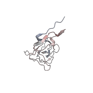 6746_5zbo_B_v1-3
Cryo-EM structure of PCV2 VLPs