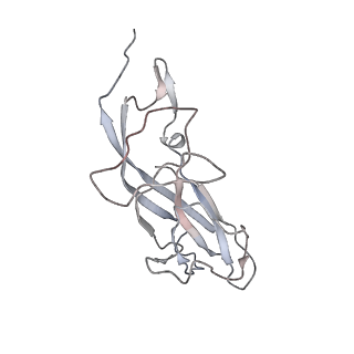 6746_5zbo_C_v1-2
Cryo-EM structure of PCV2 VLPs
