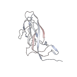 6746_5zbo_D_v1-3
Cryo-EM structure of PCV2 VLPs