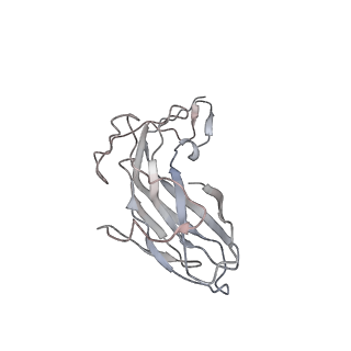 6746_5zbo_E_v1-2
Cryo-EM structure of PCV2 VLPs