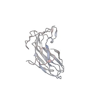 6746_5zbo_E_v1-3
Cryo-EM structure of PCV2 VLPs